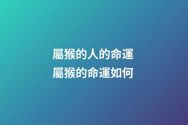 屬猴的人的命運 屬猴的命運如何-第1張-觀點-玄機派